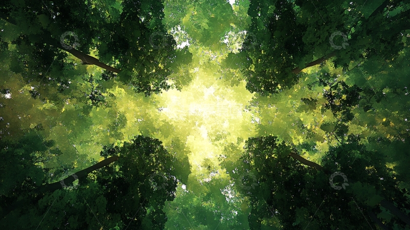 高清大图下载【趣麦麦图】森林高清宽幅