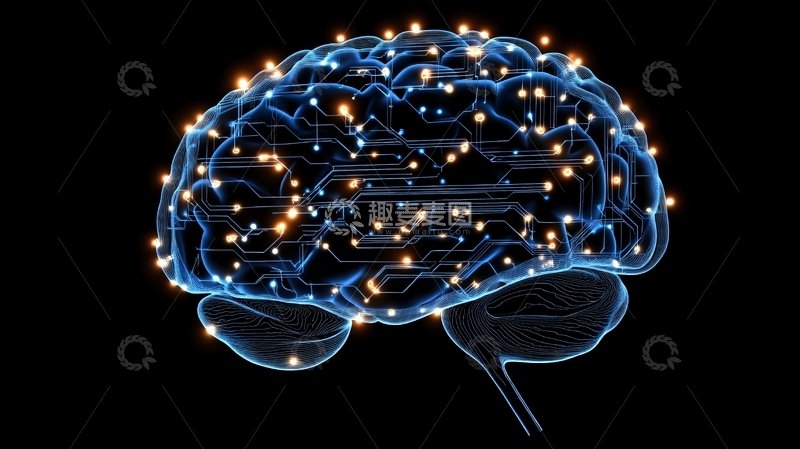 高清大图下载【趣麦麦图】大脑连接性6