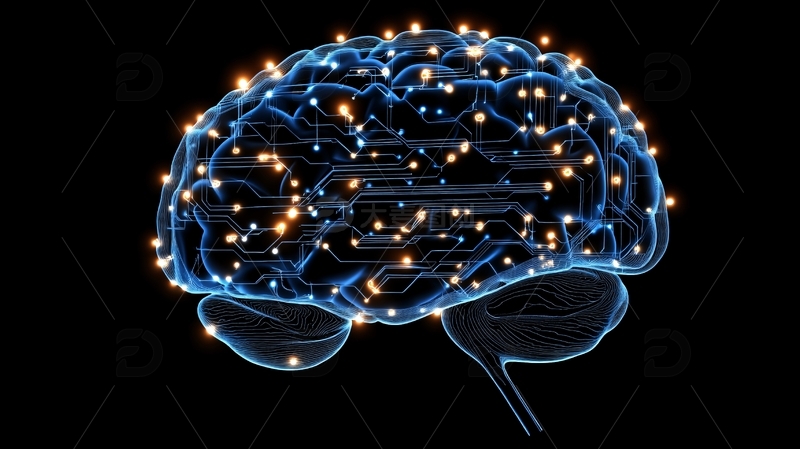 高清大图下载【趣麦麦图】大脑连接性6