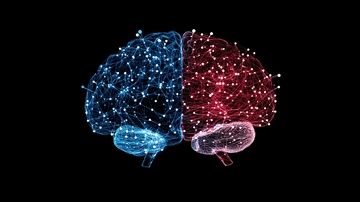 脑控设备神经连接1