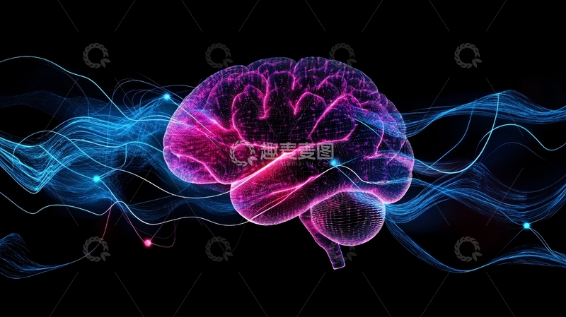 高清大图下载【趣麦麦图】大脑连接性10