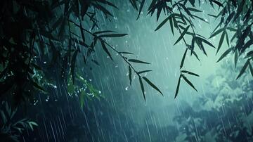 竹林雨景雨景风景美景1