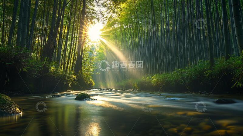 高清大图下载【趣麦麦图】春天竹林瀑布晨曦唯美22