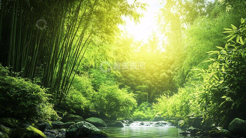 高清大图下载【趣麦麦图】阳光竹林里的小河1