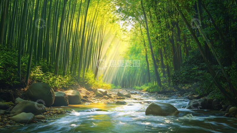 高清大图下载【趣麦麦图】春天竹林瀑布晨曦唯美20