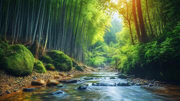 竹乡溪流溪流河流竹乡