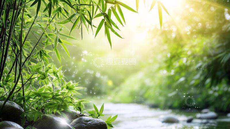 高清大图下载【趣麦麦图】唯美竹林背景44