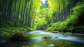 溪也竹林溪流河流竹乡