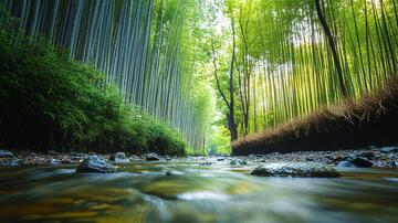 竹乡溪流溪流竹乡瀑布