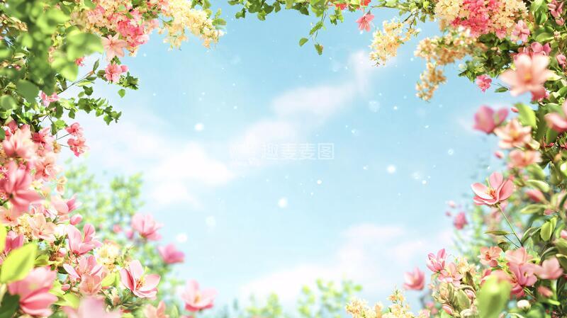 高清大图下载【趣麦麦图】春天梦幻花丛8