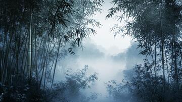 竹林淡雾晨雾迷雾意境