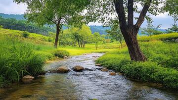 山村的小河大树乡村牧场