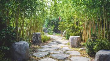 竹园小路竹园小路园林