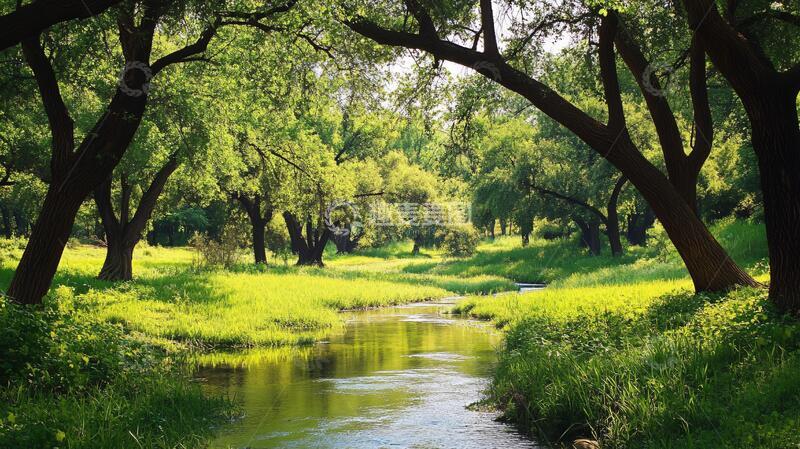 高清大图下载【趣麦麦图】小河绿树背景