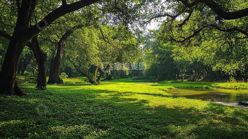 高清大图下载【趣麦麦图】绿树湿地阳光绿草地2