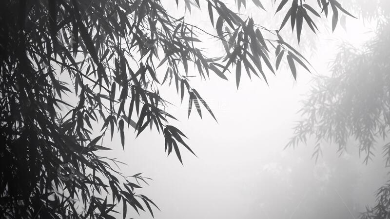 高清大图下载【趣麦麦图】迷雾翠竹水墨云雾迷雾