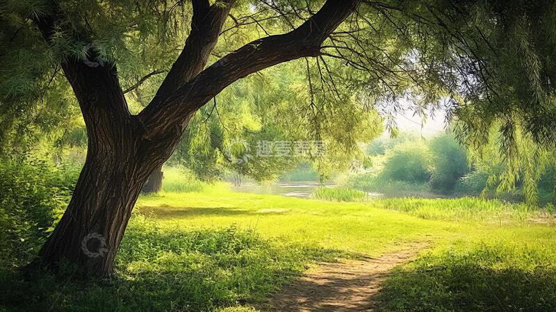 高清大图下载【趣麦麦图】阳光古树小河