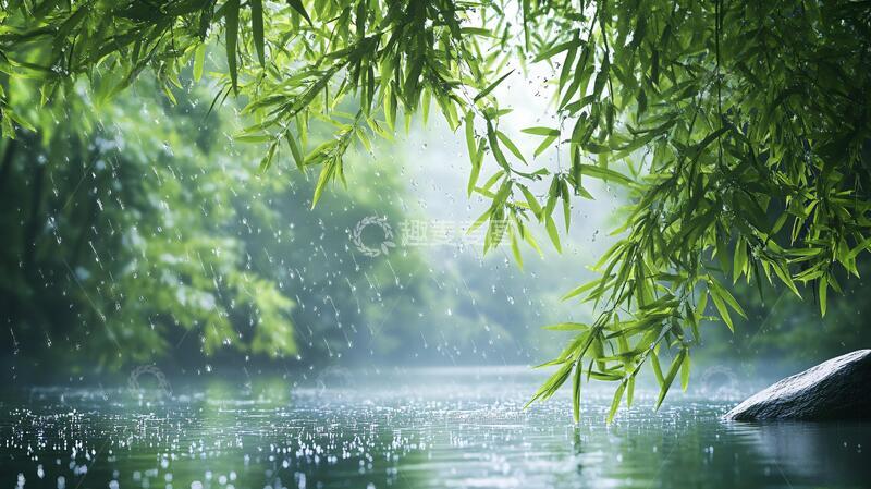 高清大图下载【趣麦麦图】谷雨湖畔竹林