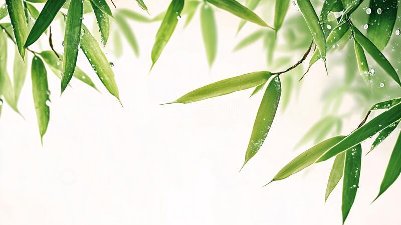 高清大图下载【趣麦麦图】唯美竹叶背景77