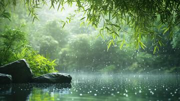 梦幻竹林意境雨景梦幻