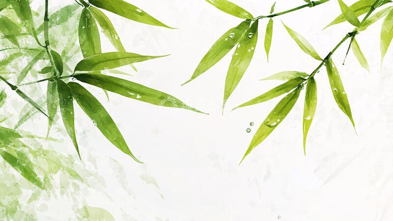 高清大图下载【趣麦麦图】唯美竹叶背景78