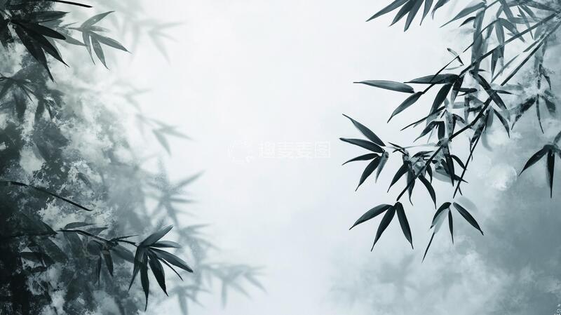 高清大图下载【趣麦麦图】唯美竹影竹韵58