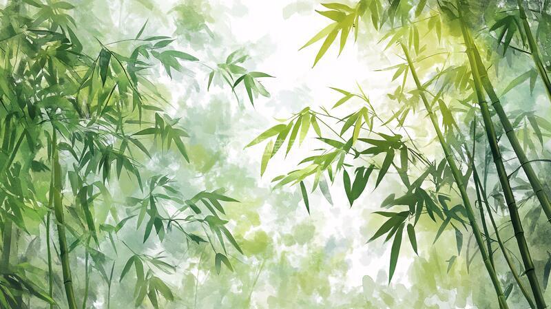 高清大图下载【趣麦麦图】唯美竹林背景57