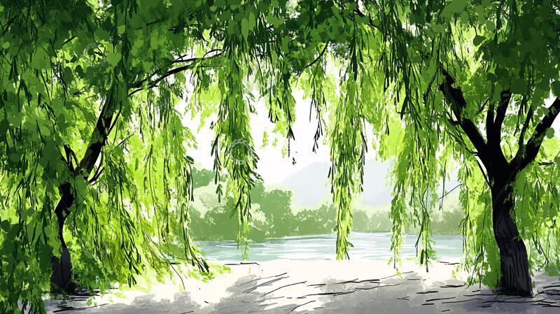 高清大图下载【趣麦麦图】柳树插画壁纸插画成荫