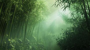 竹林意境图背景意境绿色