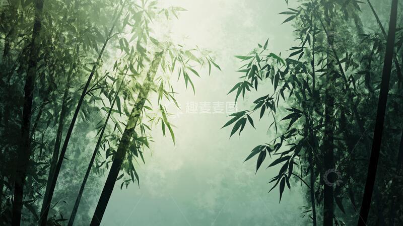 高清大图下载【趣麦麦图】迷雾翠竹迷雾晨雾大雾