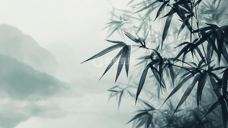 高清大图下载【趣麦麦图】唯美竹影竹韵64