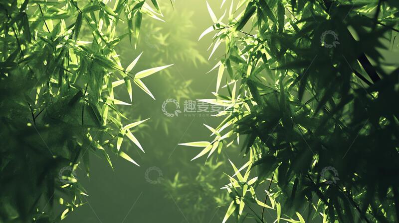 高清大图下载【趣麦麦图】唯美竹叶竹叶意境竹影