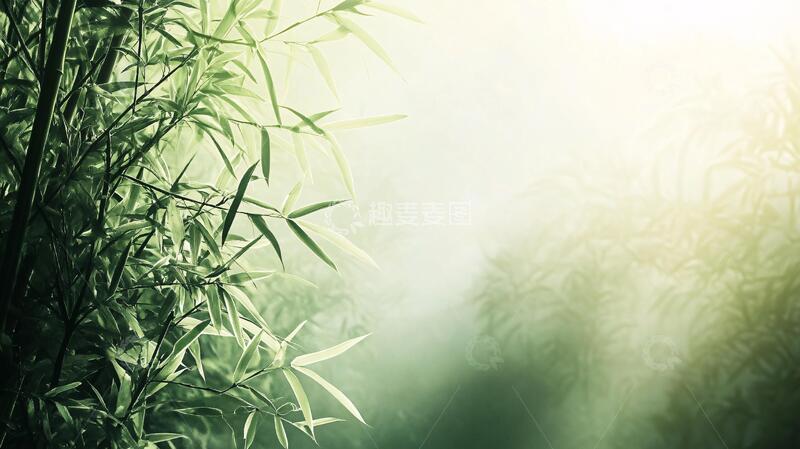 高清大图下载【趣麦麦图】唯美竹影竹韵66