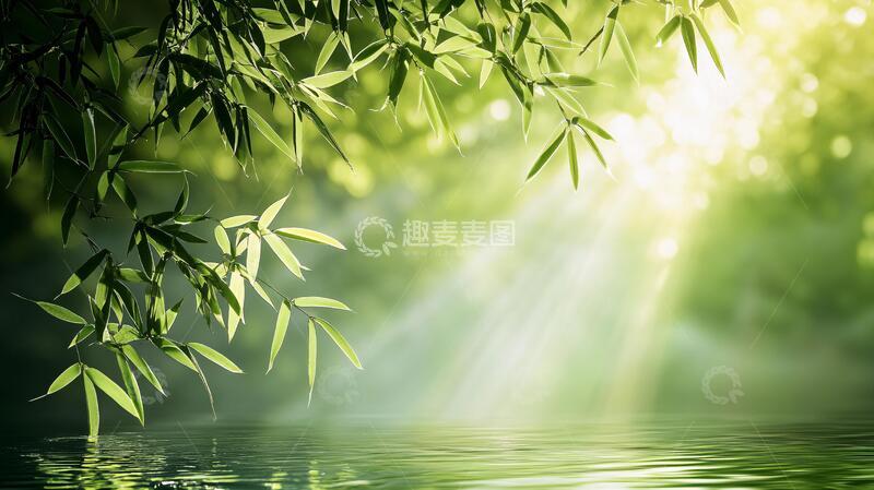 高清大图下载【趣麦麦图】唯美竹影竹韵110