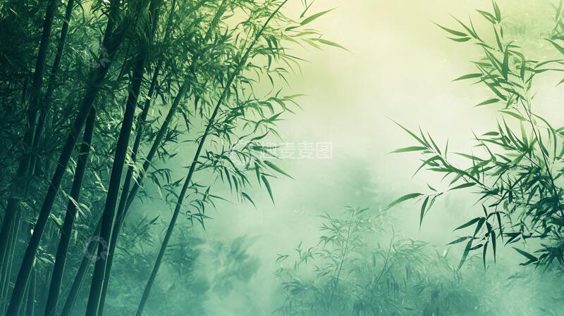 高清大图下载【趣麦麦图】唯美竹影竹韵121