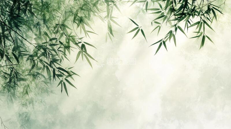 高清大图下载【趣麦麦图】唯美竹影竹韵116