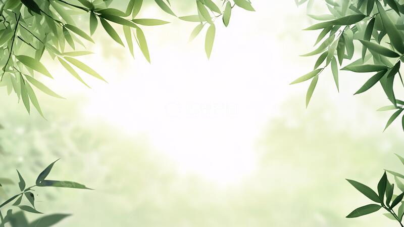 高清大图下载【趣麦麦图】唯美竹叶背景119