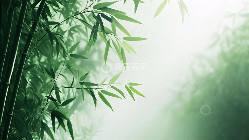 高清大图下载【趣麦麦图】唯美竹影竹韵101