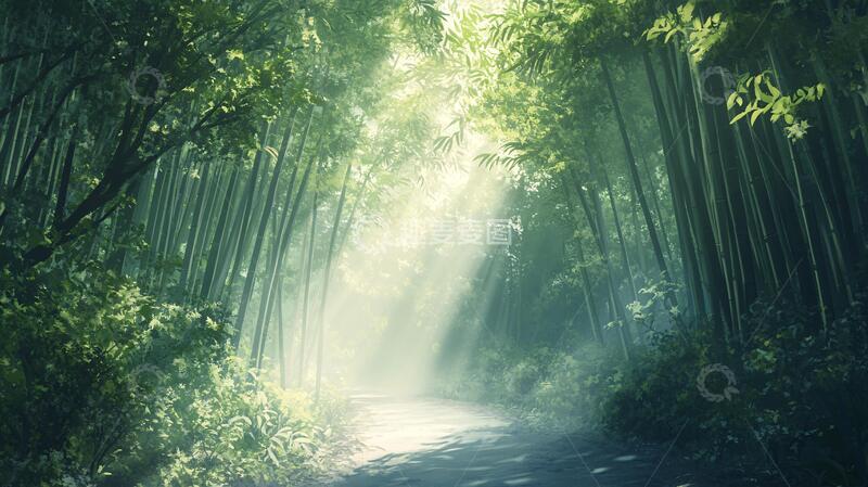 高清大图下载【趣麦麦图】竹林意境图竹林素材小路