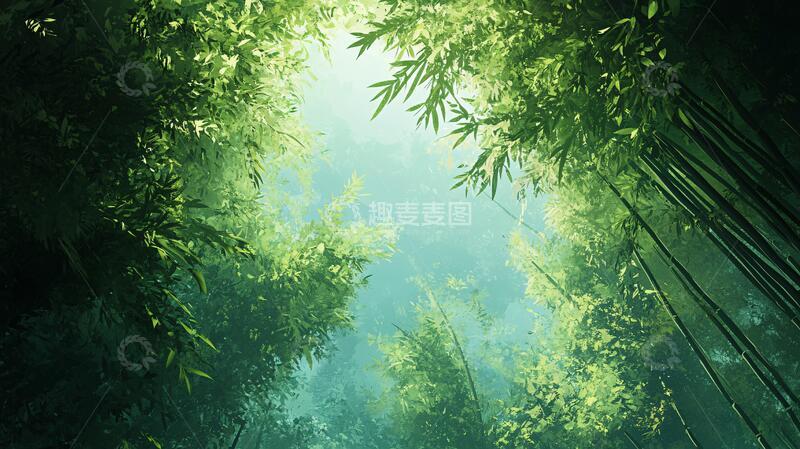 高清大图下载【趣麦麦图】唯美竹影竹韵104