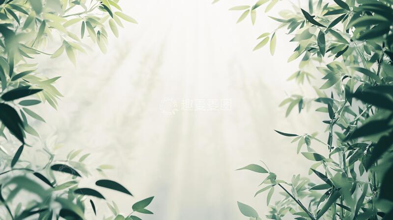 高清大图下载【趣麦麦图】唯美竹叶背景127
