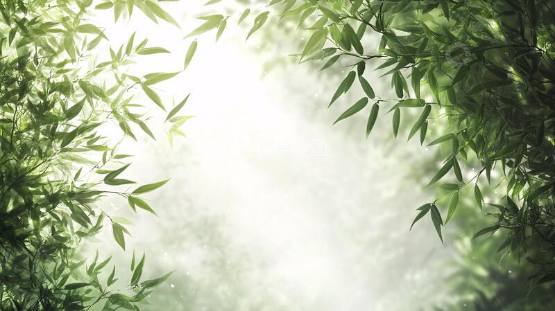 高清大图下载【趣麦麦图】唯美竹影竹韵95