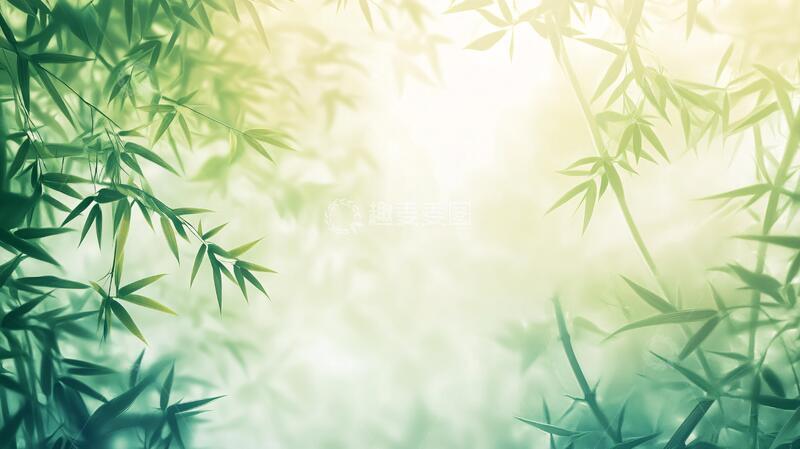 高清大图下载【趣麦麦图】唯美竹叶背景124
