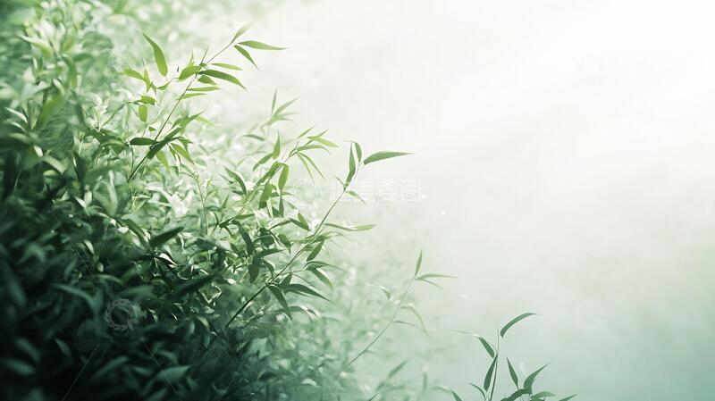 高清大图下载【趣麦麦图】竹叶阳光竹叶光影竹影