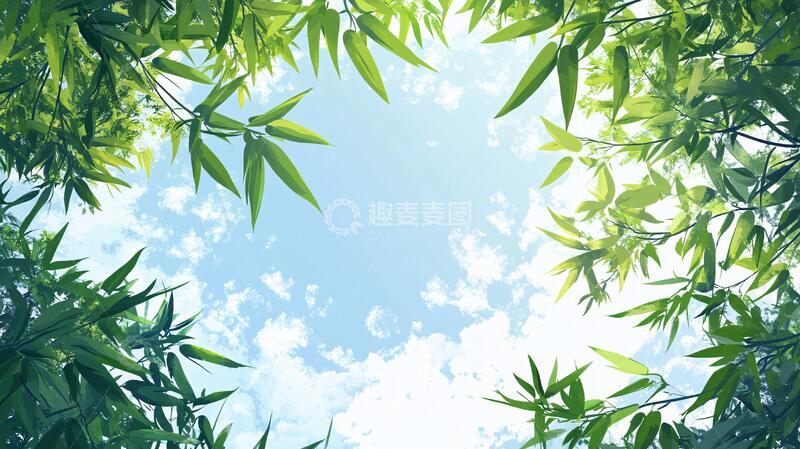 高清大图下载【趣麦麦图】唯美竹叶背景135