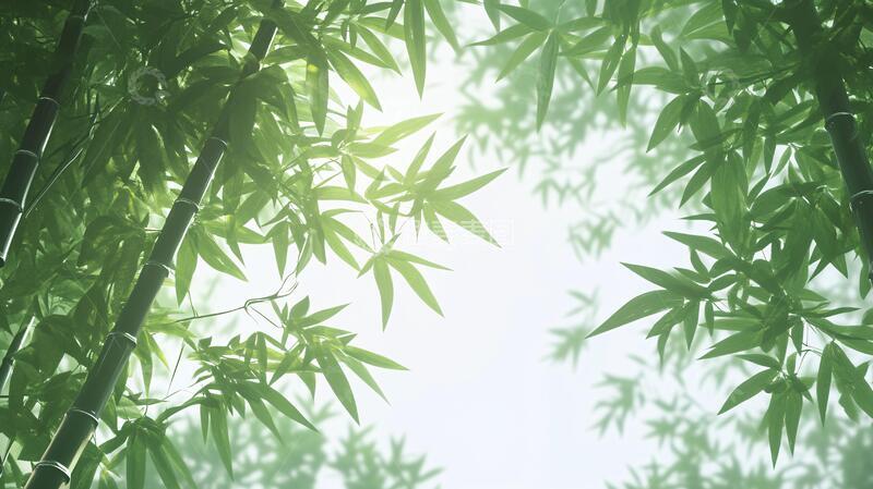 高清大图下载【趣麦麦图】唯美竹影竹韵106
