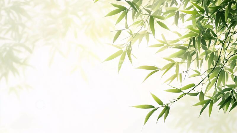 高清大图下载【趣麦麦图】唯美竹叶背景122