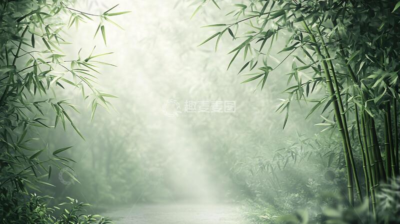 高清大图下载【趣麦麦图】唯美竹林背景84