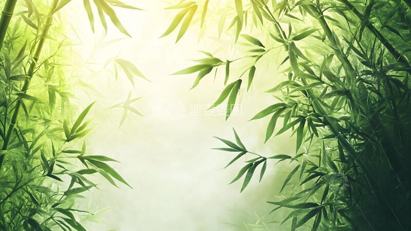 高清大图下载【趣麦麦图】唯美竹影竹韵99