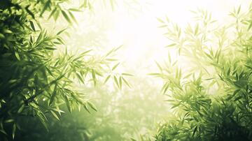 唯美竹叶竹叶背景竹影